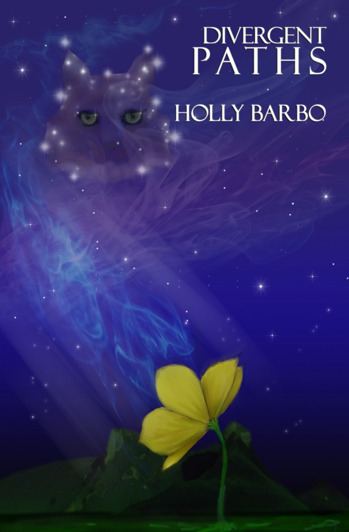 Divergent Paths by Holly Barbo